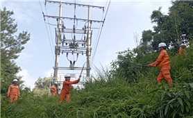 Tổng công ty Điện lực miền Bắc: Đảm bảo cấp điện an toàn dịp Giỗ Tổ Hùng Vương và kỳ nghỉ lễ 30/4 - 01/5.