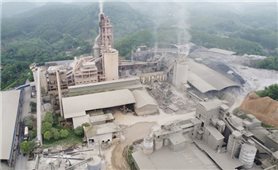 Yên Bái: Tai nạn lao động nghiêm trọng ở nhà máy xi măng, 10 người thương vong