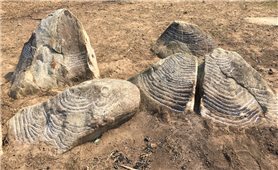 Yên Bái: Phát hiện thêm 15 khối đá chạm khắc cổ ở Mù Cang Chải