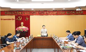 Thứ trưởng, Phó Chủ nhiệm Nông Thị Hà chủ trì họp thống nhất nội dung, quy trình thực hiện các dự án bảo vệ môi trường của UBDT