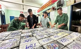 Phát hiện 85 gói trôi dạt vào bờ biển Tiền Giang là ma túy
