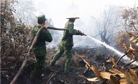 Kiên Giang: Cháy hơn 10 ha khu đất mỏ than bùn và Khu bảo tồn loài Sinh cảnh xã Phú Mỹ