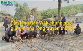 Dân làng Đăk Wâk chung sức gìn giữ nhà rông truyền thống