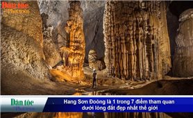 Tin trong ngày - 28/5/2024