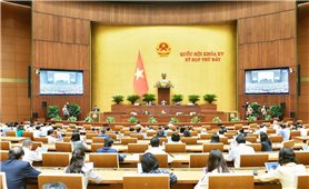 Quốc hội cho ý kiến về thí điểm bổ sung một số cơ chế, chính sách đặc thù phát triển tỉnh Nghệ An