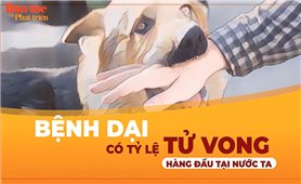 Vấn đề - Sự kiện (Tuần 22): Ám ảnh bệnh dại, khi “thú cưng” hóa thành “thú dữ”