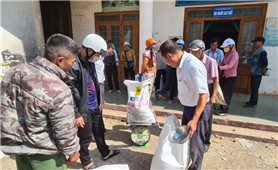 Đắk Lắk: Phân bổ 155 tấn gạo cứu đói cho Nhân dân