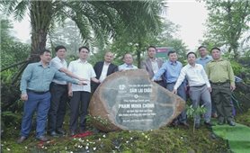 Vườn Sâm Lai Châu đầu tiên được cấp chứng nhận đạt tiêu chuẩn hữu cơ