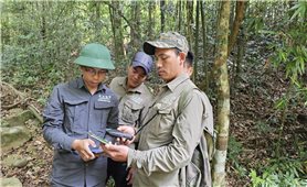 Quảng Trị đẩy mạnh ứng dụng công nghệ trong quản lý, bảo vệ rừng