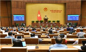 Quốc hội thông qua Nghị quyết về việc thành lập Đoàn giám sát chuyên đề của Quốc hội năm 2025
