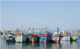 Bình Định: Xử phạt 4, 5 tỷ đồng chủ 5 tàu cá vi phạm lãnh hải nước ngoài