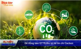 Vấn đề - Sự kiện (Tuần 28): Để đồng bào DTTS thu lợi từ tín chỉ Carbon