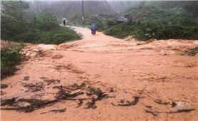 Chủ động ứng phó mưa lớn kèm lốc sét, gió giật mạnh và nguy cơ lũ quét, sạt lở đất