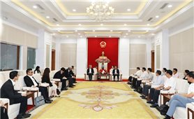 Lãnh đạo tỉnh Quảng Ninh tiếp nhà đầu tư Nhật Bản