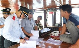 Quảng Ninh: Kiên quyết xử lý dứt điểm số lượng tàu cá 
