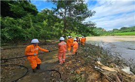 Tổng công ty Điện lực miền Bắc: Hoàn thành tốt nhiều nhiệm vụ tháng 7