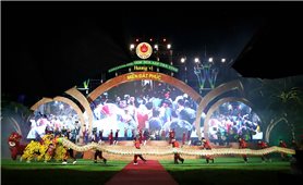 Khai mạc Festival 100 năm Dừa sáp Trà Vinh