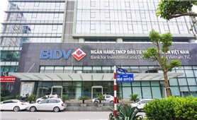 BIDV: Top 20 cổ phiếu có chỉ số phát triển bền vững tốt nhất