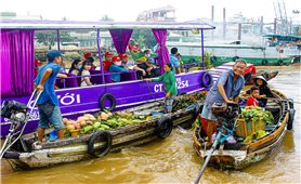 Mênh mang sông nước miền Tây