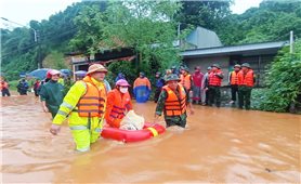 Thiệt hại nặng nề nơi tâm lũ