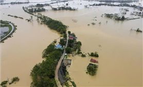 Nội thành Hà Nội vẫn an toàn trong trường hợp lũ trên sông Hồng lên báo động 3