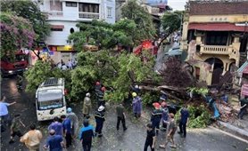 Chuẩn bị nhân lực, phương tiện sẵn sàng ứng phó bão và mưa lũ sau bão