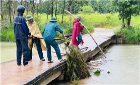 Quảng Ninh căng mình chống bão