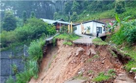 Yên Bái: Mưa lũ làm 1 người chết, nhiều tài sản của Nhà nước và Nhân dân bị thiệt hại