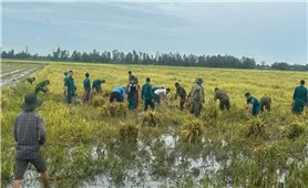 Kiên Giang: Lực lượng vũ trang giúp dân khắc phục hậu quả do ảnh hưởng của bão số 3