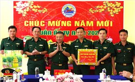 Đoàn công tác của Tổng cục Chính trị kiểm tra công tác sẵn sàng chiến đấu và thăm, chúc Tết tại BĐBP An Giang