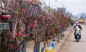 Mùa Đông năm nay ít mưa hơn, Tết Nguyên đán khả năng rét khô