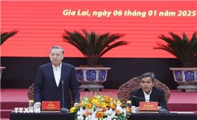 Thúc đẩy Gia Lai phát triển tương xứng tiềm năng, lợi thế, trở thành tỉnh khá của khu vực