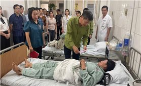 Vỡ ao nuôi cá làm 4 người thương vong