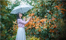 Măng Đen: Vườn hồng treo gió gọi Thu về