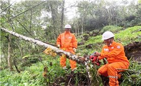 Căng mình khắc phục sự cố lưới điện bị ảnh hưởng do bão số 10