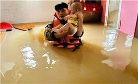 Nhiều nghệ sĩ quyên góp giúp đồng bào khắc phục hậu quả bão số 10