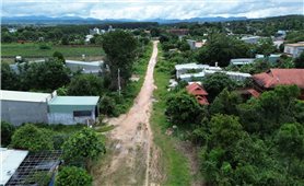Quảng Ngãi: Người dân hiến gần 7 nghìn m2 đất nhưng gần 18 năm vẫn chưa làm đường