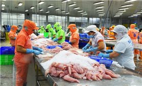 Đồng Tháp đề ra 14 chỉ tiêu chủ yếu cho nhiệm kỳ mới, tăng trưởng kinh tế bình quân 9%