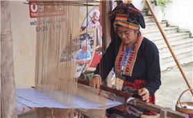 Đặc sản, sản phẩm của nhiều địa phương vùng DTTS và miền núi có mặt ở Hội chợ Làng nghề Việt Nam lần thứ 21