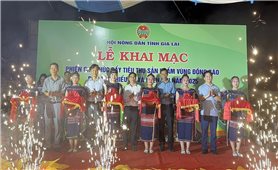Gia Lai: Phiên chợ kết nối, thúc đẩy tiêu thụ sản phẩm vùng đồng bào DTTS