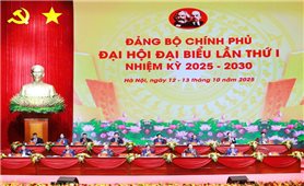 Đại hội Đảng bộ Chính phủ lần thứ I tiến hành phiên trù bị