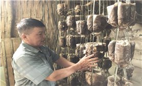 Thêm nhiệm vụ, trách nhiệm càng cao