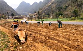 Giảm phát thải khí nhà kính, bước chuyển tất yếu trong sản xuất trồng trọt