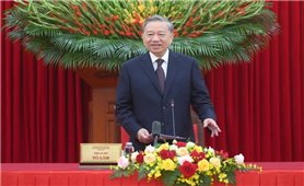 Hướng mạnh về cơ sở, bảo đảm thực sự là người bạn đồng hành của người nông dân