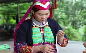 Nữ Bí thư 