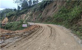 Quảng Ngãi: Tổ chức thu dọn gỗ, bảo đảm an toàn trên tuyến tỉnh lộ 676