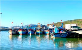 Gia Lai chi hơn 4,4 tỷ đồng hỗ trợ chủ tàu cá không đủ điều kiện khai thác thủy sản