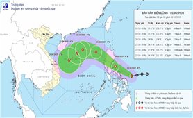 Khả năng ảnh hưởng hoạt động tàu thuyền trong vùng nguy hiểm của bão Fengshen