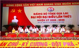 Đại biểu dự Đại hội Đảng bộ tỉnh Gia Lai quyên góp 180 triệu đồng ủng hộ đồng bào vùng lũ