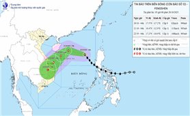 Thủ tướng yêu cầu chủ động ứng phó bão số 12 và mưa lũ